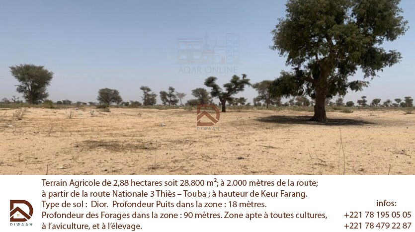 Terrain agricole de 2,88 hectares à 2km de la route national3 Thiès-Touba. Diwaan Immo